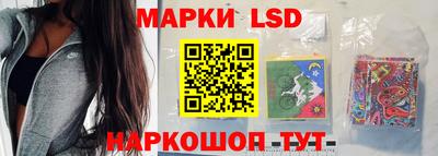 стаф Нальчик
