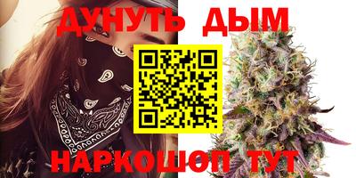 стаф Нальчик