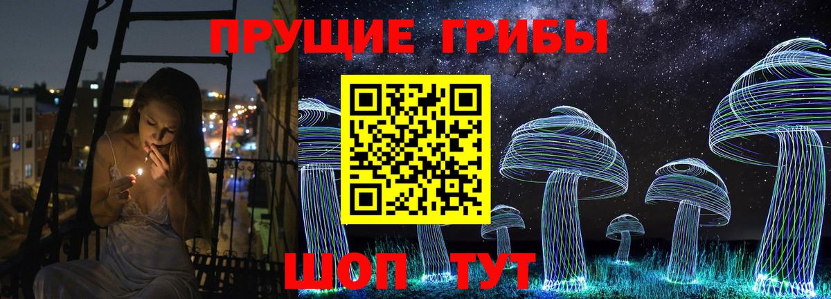 Галлюциногенные грибы Psilocybe  Вход с VPN  Псилоцибиновые грибы MAGIC MUSHROOMS  цены наркотик  Шебекино 