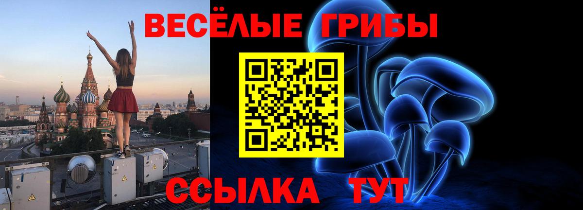 Псилоцибиновые грибы ЛСД Шебекино